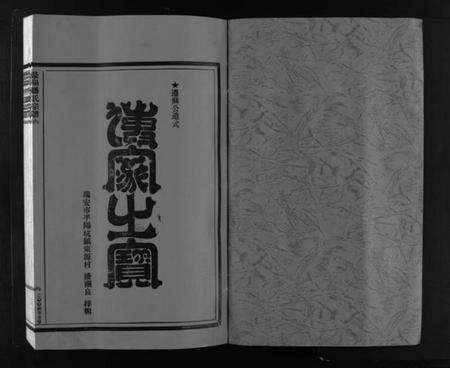 浙江潘氏族谱-乐清虹桥潘氏宗谱 [不分卷].pdf电子版预览图2