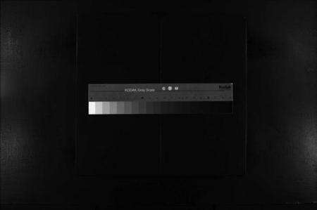 浙江陆氏族谱-乐清虹桥陆氏宗谱 [不分卷].pdf电子版缩略图