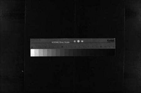 浙江郑氏族谱-乐清象山桥头前岸郑氏宗谱 [下册].pdf电子版缩略图