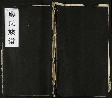 湖南廖氏族谱-廖氏族谱 [残卷].pdf电子版缩略图