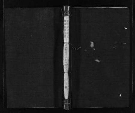 浙江郑氏族谱-乐清象山桥头前岸郑氏宗谱 [下册].pdf电子版预览图1