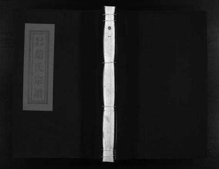 浙江赵氏族谱-乐清霞雪赵氏宗谱 [3卷].pdf电子版预览图1