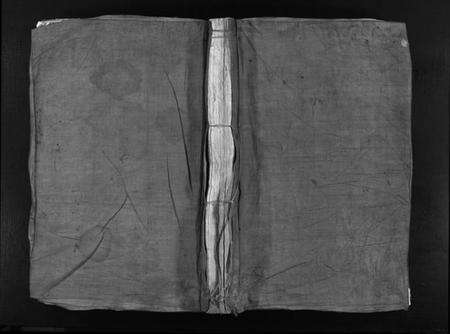 浙江洪氏族谱-乐邑北塘洪氏宗谱 [4卷].pdf电子版预览图1