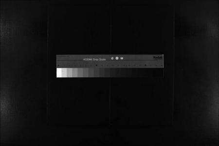 浙江严氏族谱-乐邑严氏族谱 [4卷].pdf电子版缩略图