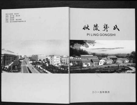 江苏龚氏族谱-毗陵龚氏.pdf电子版缩略图