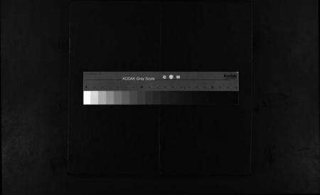 浙江缪氏族谱-乐邑长垟缪氏宗谱 [不分卷].pdf电子版缩略图