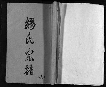 浙江缪氏族谱-乐邑长垟缪氏宗谱 [不分卷].pdf电子版预览图1
