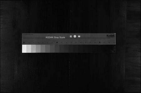 浙江樊氏族谱-樊氏宗谱 [5卷].pdf电子版缩略图