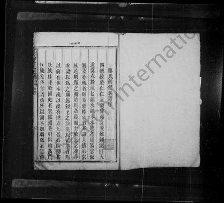 湖南廖氏族谱-宜邑廖氏族谱 [1卷].pdf电子版预览图2