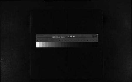 浙江施氏族谱-樟川施氏宗谱 [不分卷].pdf电子版缩略图