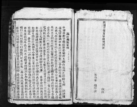 浙江施氏族谱-樟川施氏宗谱 [不分卷].pdf电子版预览图4