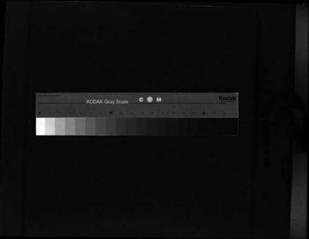 浙江施氏族谱-樟村施氏四房谱 [不分卷].pdf电子版缩略图