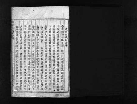 浙江吴氏族谱-桥头吴氏宗谱 [不分卷].pdf电子版预览图2