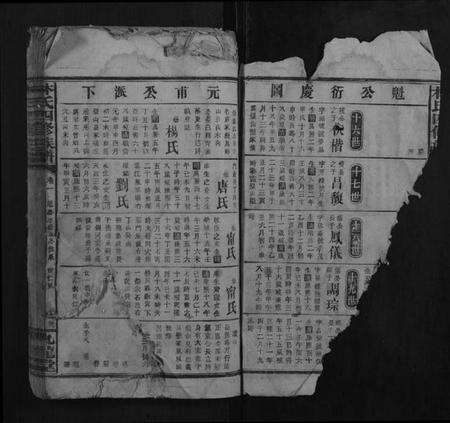 湖南林氏族谱-林氏四修族谱.pdf电子版预览图2