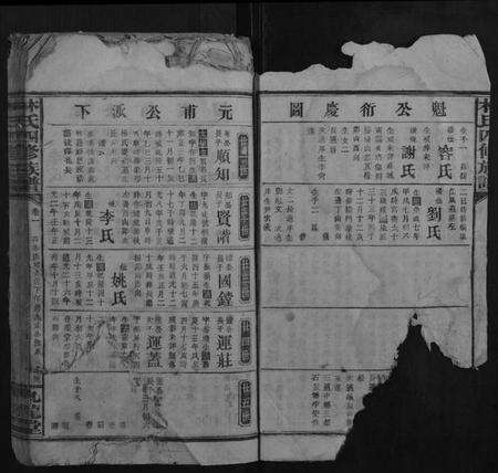 湖南林氏族谱-林氏四修族谱.pdf电子版预览图3