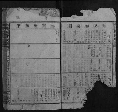 湖南林氏族谱-林氏四修族谱.pdf电子版预览图4