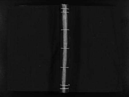 浙江吴氏族谱-桥头吴氏宗谱 [不分卷].pdf电子版预览图1