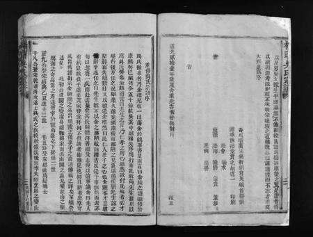 浙江吴氏族谱-桥头吴氏宗谱 [不分卷].pdf电子版预览图5