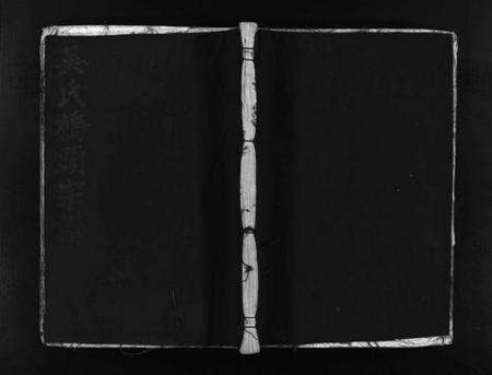 浙江吴氏族谱-桥头吴氏宗谱 [不分卷].pdf电子版预览图1