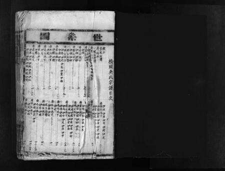 浙江吴氏族谱-桥头吴氏宗谱 [不分卷].pdf电子版预览图2