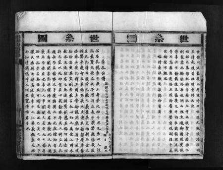 浙江吴氏族谱-桥头吴氏宗谱 [不分卷].pdf电子版预览图5