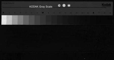 浙江王氏族谱-橙川王氏宗谱 [7卷,末1卷].pdf电子版缩略图