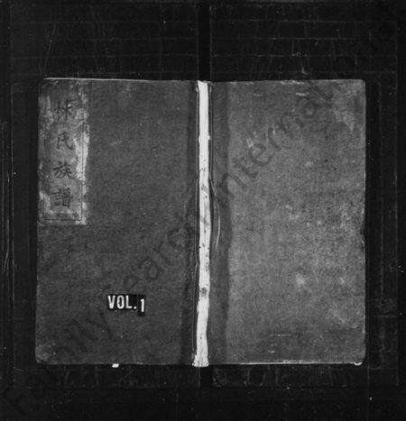 湖南林氏族谱-林氏族谱 [残卷].pdf电子版预览图1