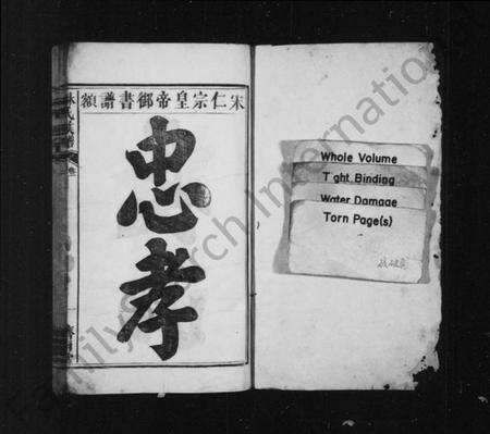 湖南林氏族谱-林氏族谱 [残卷].pdf电子版预览图2