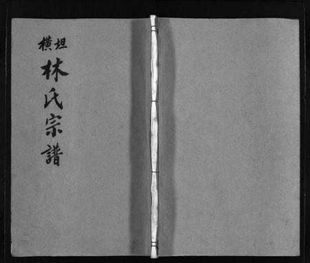 浙江林氏族谱-横坛林氏宗谱 [3卷,另3卷].pdf电子版预览图1