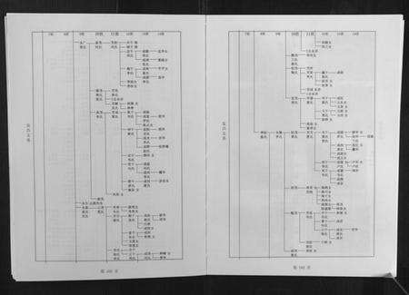 湖南林氏族谱-林氏续修族谱.pdf电子版预览图5