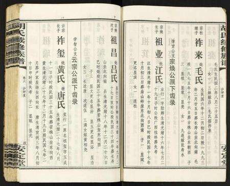 江西胡氏族谱-胡氏续修族谱.pdf电子版预览图5