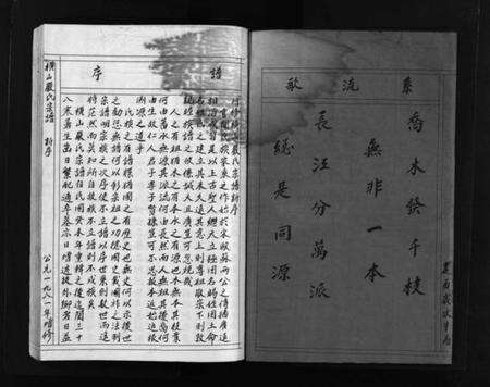 浙江严氏族谱-横山严氏宗谱 [不分卷].pdf电子版预览图3