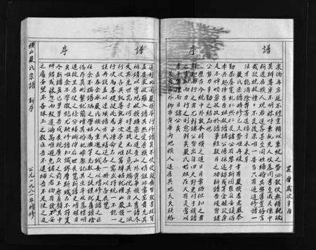 浙江严氏族谱-横山严氏宗谱 [不分卷].pdf电子版预览图4