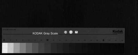 浙江应氏族谱-横祥应氏宗谱 [2卷].pdf电子版缩略图