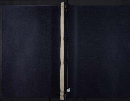 江西胡氏族谱-贵溪胡氏族谱.pdf电子版缩略图