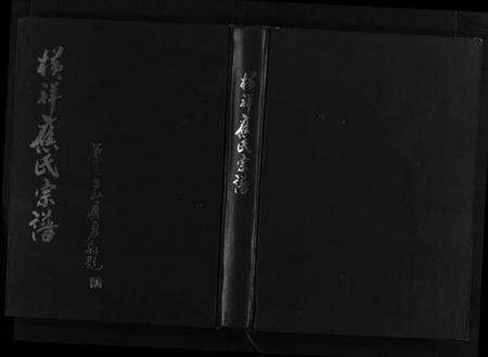 浙江应氏族谱-横祥应氏宗谱 [2卷].pdf电子版预览图1