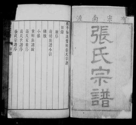 浙江张氏族谱-檇李梅溪双桂张氏宗谱.pdf电子版预览图5