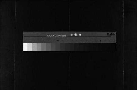 浙江施氏族谱-柽岗施氏宗谱 [残卷].pdf电子版缩略图