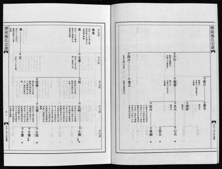 浙江施氏族谱-柽岗施氏宗谱 [残卷].pdf电子版预览图4