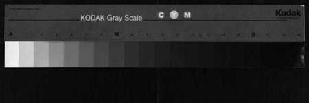 浙江叶氏族谱-正山叶氏宗谱 [4卷].pdf电子版缩略图