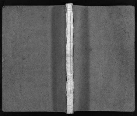 浙江苏氏族谱-武功苏氏宗谱 [不分卷].pdf电子版预览图1