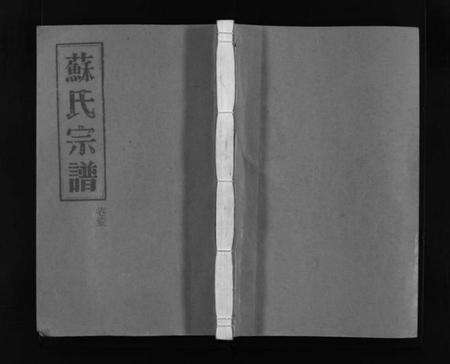 浙江苏氏族谱-武功郡苏氏宗谱 [4卷].pdf电子版预览图1