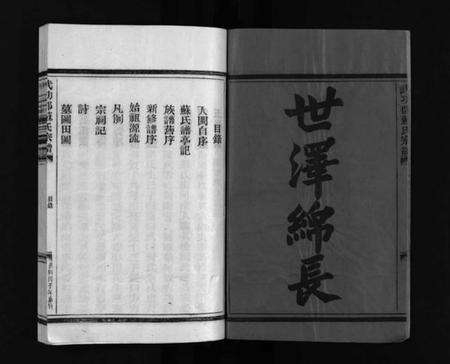 浙江苏氏族谱-武功郡苏氏宗谱 [4卷].pdf电子版预览图3