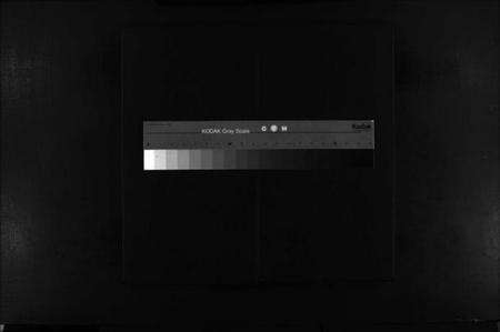 浙江苏氏族谱-武功郡苏氏宗谱 [不分卷].pdf电子版缩略图