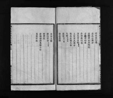 浙江苏氏族谱-武功郡苏氏宗谱 [不分卷].pdf电子版预览图3