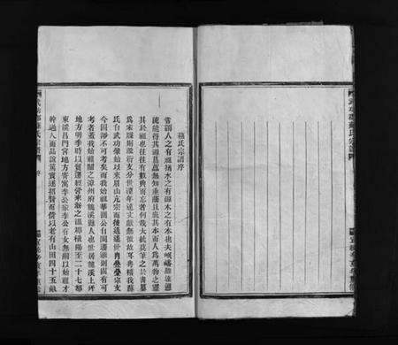 浙江苏氏族谱-武功郡苏氏宗谱 [不分卷].pdf电子版预览图4