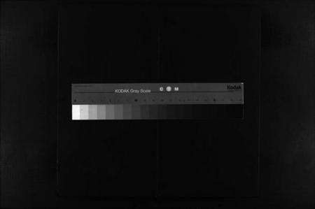 浙江苏氏族谱-武功郡苏氏宗谱 [不分卷].pdf电子版缩略图