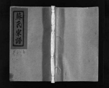 浙江苏氏族谱-武功郡苏氏宗谱 [不分卷].pdf电子版预览图1