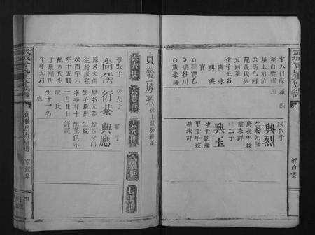 浙江曾氏族谱-武城曾氏重修族谱[不分卷].pdf电子版预览图4