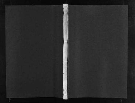 浙江沈氏族谱-武义沈氏宗谱 [5卷].pdf电子版预览图1